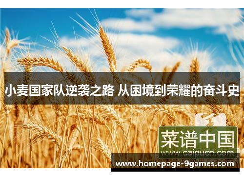 小麦国家队逆袭之路 从困境到荣耀的奋斗史 小麦国家队逆袭之路 从困境到荣耀的奋斗史